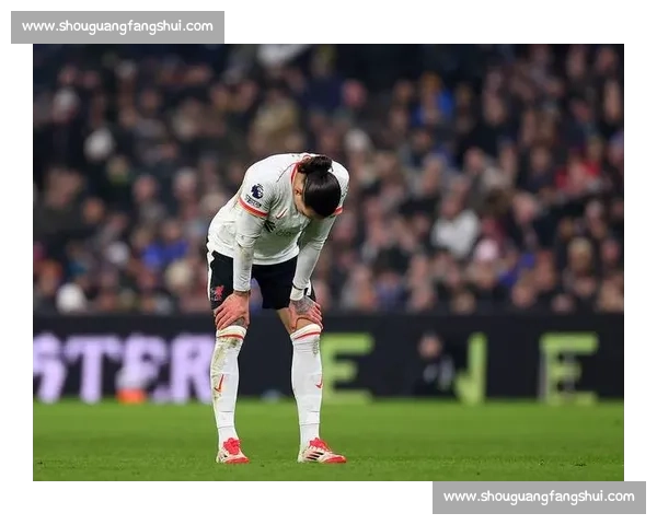 利物浦 7000 万欧标价吓退那不勒斯,努涅斯转会陷僵局 利物浦 7000 万欧标价吓退那不勒斯,努涅斯转会陷僵局