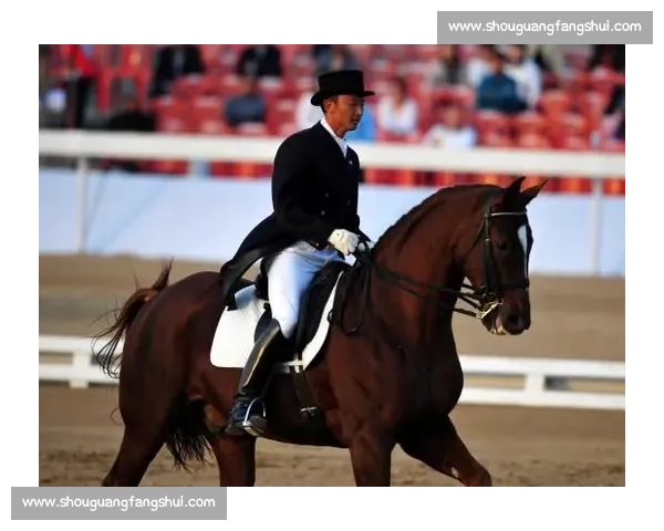 铁骑丹心:粤马术老将冲刺十五运盛装舞步